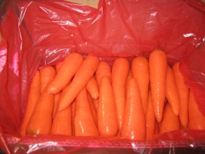 2021 nieuwe oogst verse Chinese wortel/wortels vol vitamine C-wortel uit China 1 koper