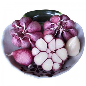 Fresh White Garlic mutengesi Inotengesa