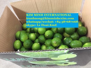 सस्ती कीमत पर बीज रहित नींबू फल ताजा आम का निर्यात करें