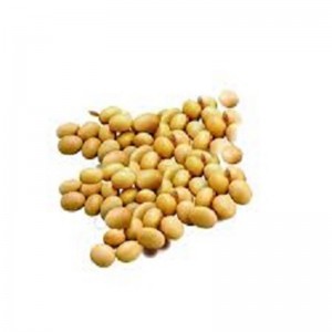Eiwitrijke sojabonenzaden te koop / biologische sojabonen 500MT landbouw biologische sojabonen
