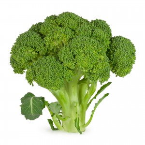 Fresh Broccoli mo le fa'atauga sili ona lelei ma le Tulaga lelei, latisi aisa Sauni e Fa'atau atu