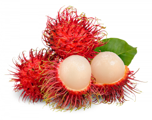 Tatlı Organik VIETGAP Sertifikası Vietnam'dan Kg Başına 6-8 adet Taze Rambutan Meyvesi
