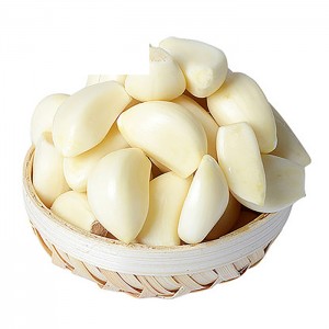 Fresh White Garlic supplier For sale