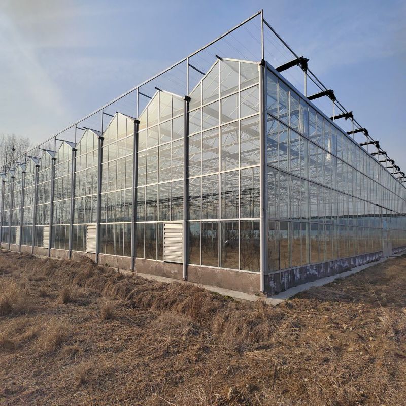 Hydroponic Greenhouse Glass Vegetable Greenhouse