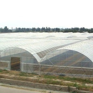 Wholesale Mocon Greenhouses –  Cost Single-span Agricultural Greenhouses  – Ningdi