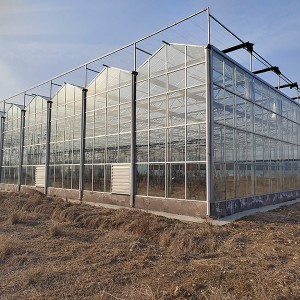 Multi-span polycarbonate morden aluminium greenhouse with hydroponics system
