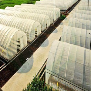 High-Quality 6mm Polycarbonate Greenhouse Suppliers –  Hot selling Arch greenhouse design  – Ningdi