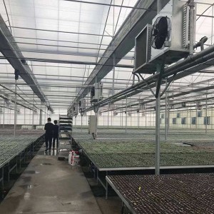 High-Quality Greenhouse Stained Glass Manufacturers –  In stock greenhouse container agriculture multi-span film greenhouse green house structure  – Ningdi
