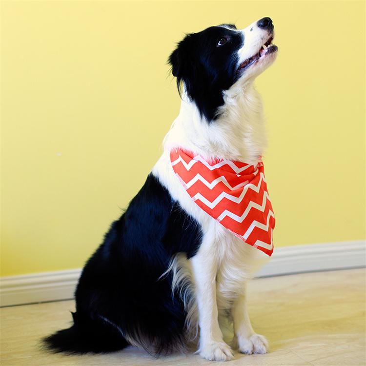 Wholesale high quality Custom printed Cotton dog pet print neck scarf bandana 4