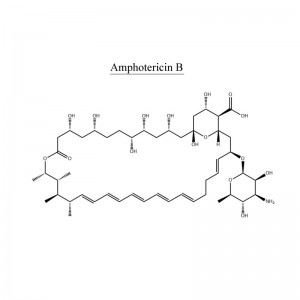 China Gold Supplier for Minoxidil - Amphotericin B 1397-89-3 Antibiotic – Neore