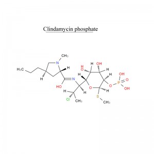 2022 Latest Design Clindamycin phosphate - Clindamycin phosphate 24729-96-2 Antibiotic – Neore