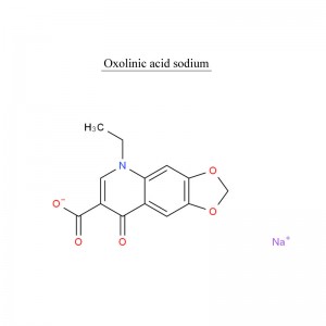 8 Year Exporter Florfenicol - Oxolinic acid sodium 59587-08-5 Antibiotic – Neore