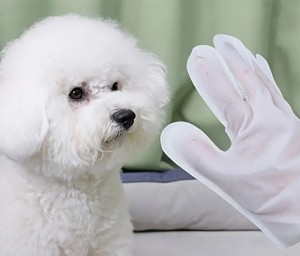 Eco 친절한 애완 동물 생물 분해성 입욕 닦음 손질 청소 장갑은 주문을 받아서 만듭니다