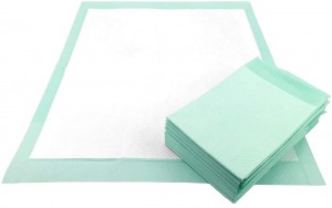 Disposable Potty Training Bed Under Pads