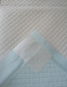 Оптовая продажа oem одноразовые подушечки для мочи для щенков завод производитель