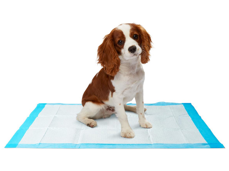 Keep floors clean with the most absorbent puppy pee mat
