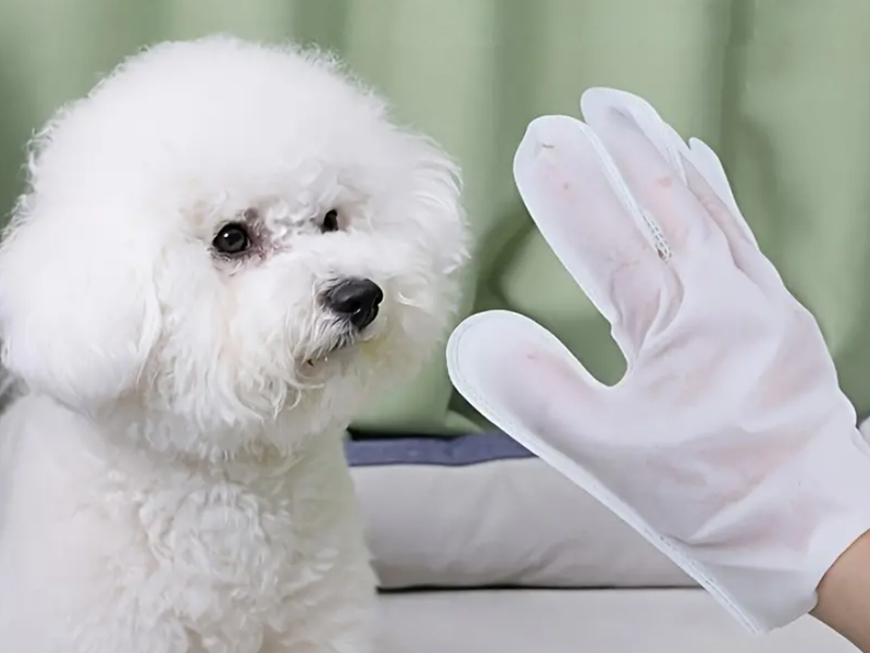 The future of pet grooming: Pet Glove Wipes!