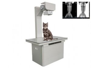High frequency X-ray machine for small animals