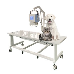Máquina de raios X para mascotas de 100 mA/máquina de cabeceira