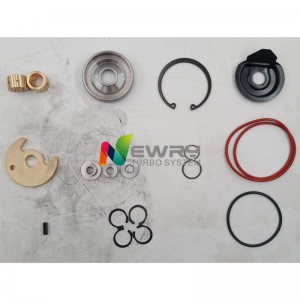Hot New Products Bv43 Service Kit - Newry Repair Kit TD09 -NEWRY