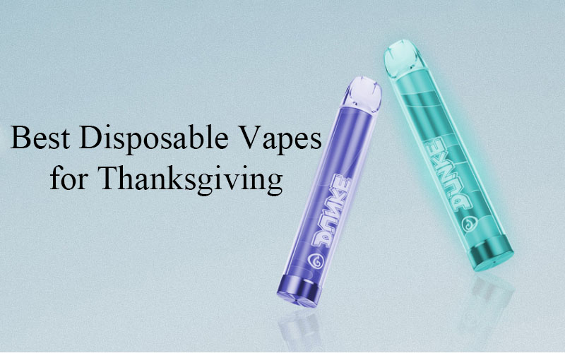 Best Disposable Vapes for Thanksgiving and the World Cup