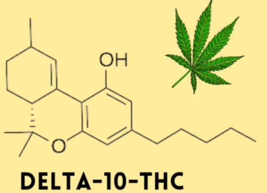 What Is Delta 10 THC & Does It Get You High?