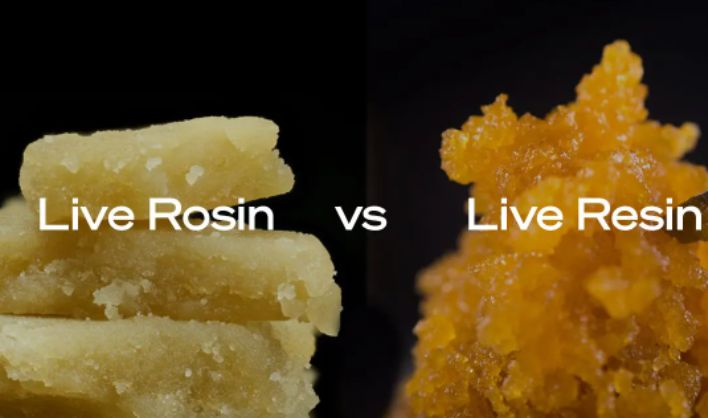 What are the differences between live resin and live rosin?