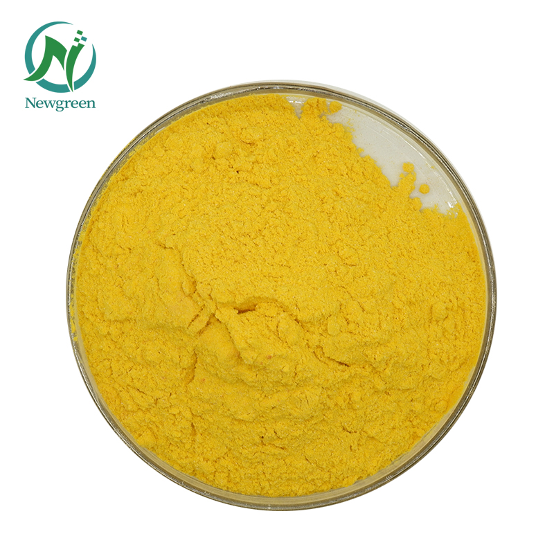 Cotinus Coggygria Extract Powder 98 Fisetin Manufacturer Newgreen Supply Fisetin Powder (1)