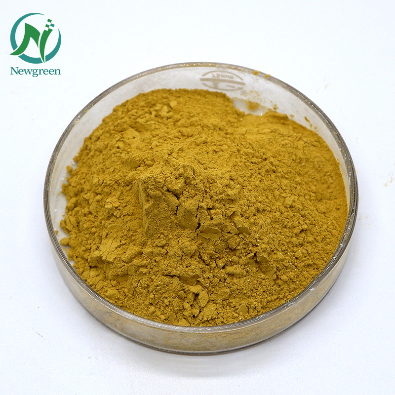 Newgreen Factory Supply Olive leaf extract oleuropein CAS 32619-42-4 Featured Image