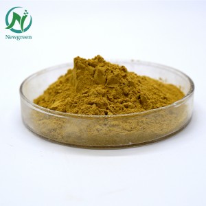 Newgreen Factory Supply Olive leaf extract oleuropein CAS 32619-42-4