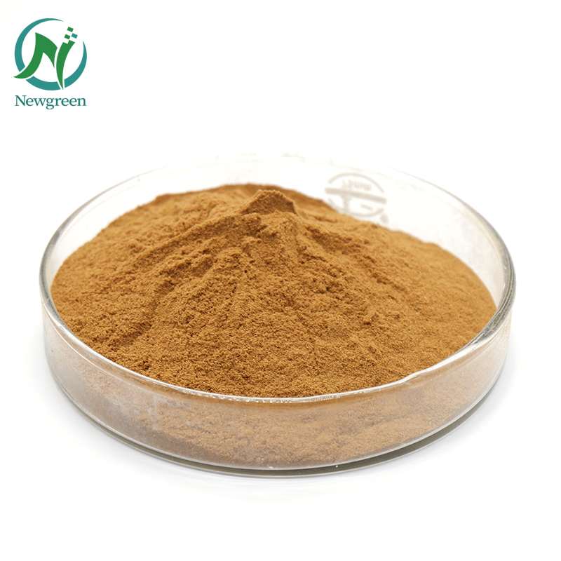 Newgreen Supply Pure Polygonum multiflorum raw powder 99 Chinese Herb He shou wu powder for hair loss (1)