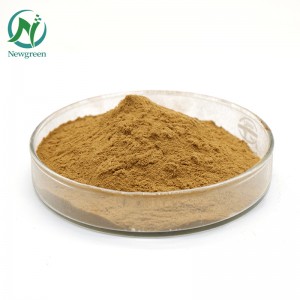 Pure Andrographis Raw Powder 99% Andrographis paniculata extract Powder 4:1 Andrographis paniculata root powder