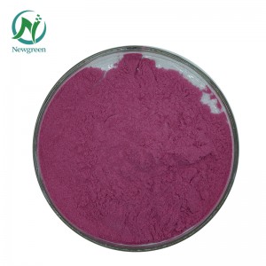 Organic Dragon Fruit powder 99% Newgreen Manufacturer Supply Freeze-dried Dragon Fruit Flavor powder
