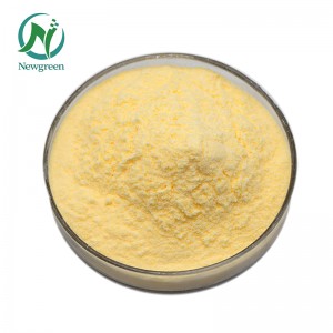 Top Quality Organic Sweet Orange powder 99% Newgreen Manufacturer Supply Freeze-dried Sweet Orange Flavor powder