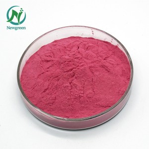 Top Quality Organic cactus fruit powder 99% Newgreen Manufacturer Supply Freeze-dried Prickly pear powder