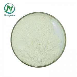 Egg yolk lecithin Factory Lecithin Manufacturer Newgreen Supply Lecithin With Top Quality