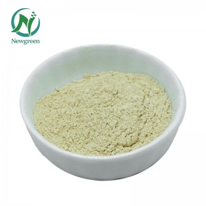 Factory Supply Food grade glucose oxidase enzyme for baking enzymes