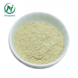 Factory Supply Food grade glucose oxidase enzyme for baking enzymes