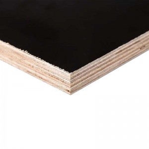 HOME F17 2400 X 1200 X 17mm Formwork Plywood As 6669 Certified
