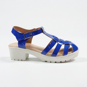 Klein Blue Classic Shoes for Girls Fashion Style Low Heel Caged Sandals