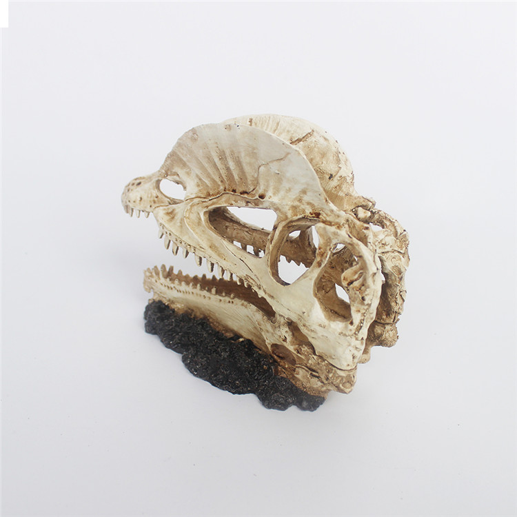 Hot Sale for Cave Gecko - Resin bird head bone decoration – Nomoy
