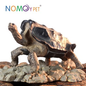 Resin turtle model Galapacos