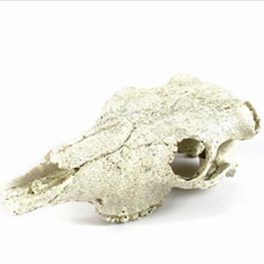 Professional China Cave Gecko For Sale - Resin white monster head decoration – Nomoy