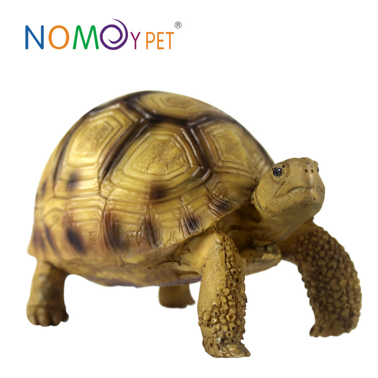 Well-designed Cork Bark Hides - Resin turtle model Hemann’s – Nomoy