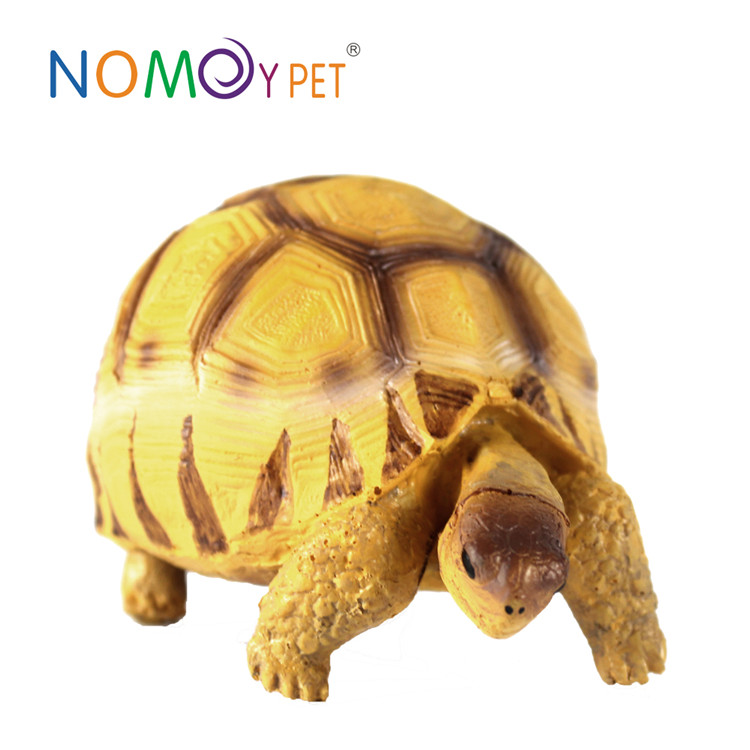 2020 Latest Design Rain System Terrarium - Resin turtle model Angonoka M – Nomoy