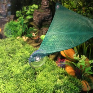 Rapid Delivery for China Pet Reptile Hammock Popular Portable Pet Bed