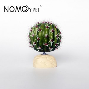 Chinese wholesale China Various Models of Natural Artificial Succulent Plants for Terrarium Decoration