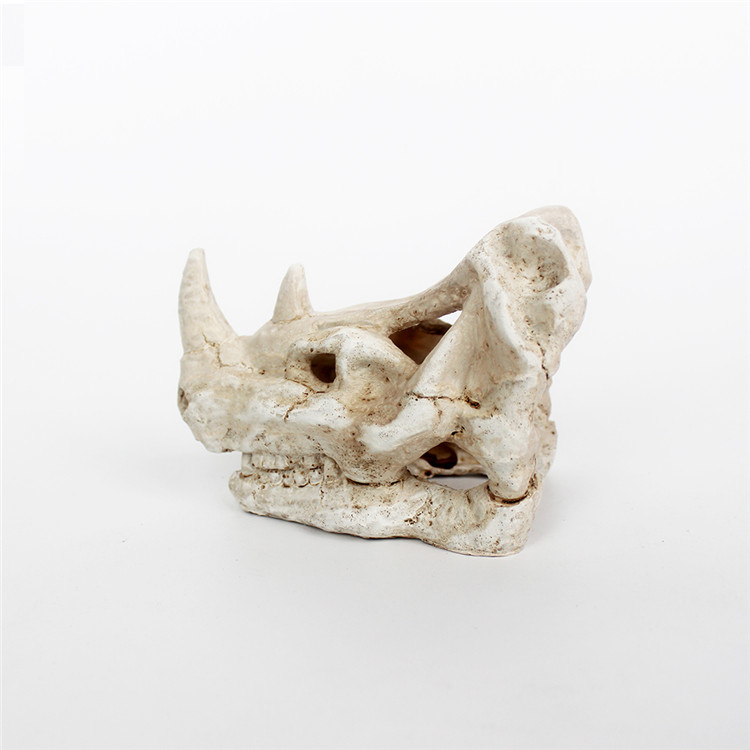 Best Price for Reptile Fogger For Sale - Resin white monster head bone decoration – Nomoy