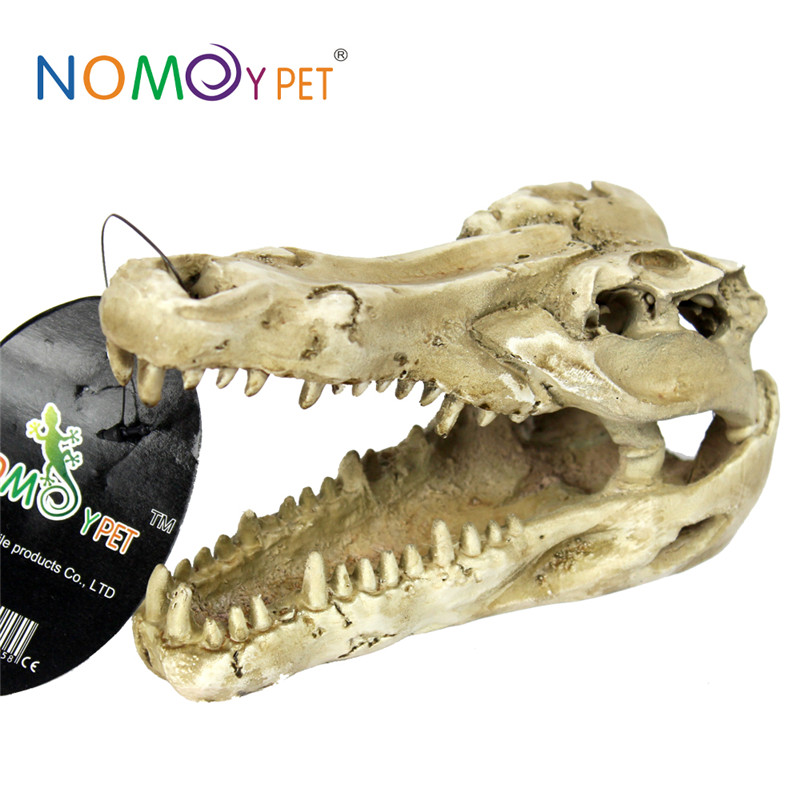 Discount Price Bearded Dragon Water Dish - Resin crocodile head decoration – Nomoy