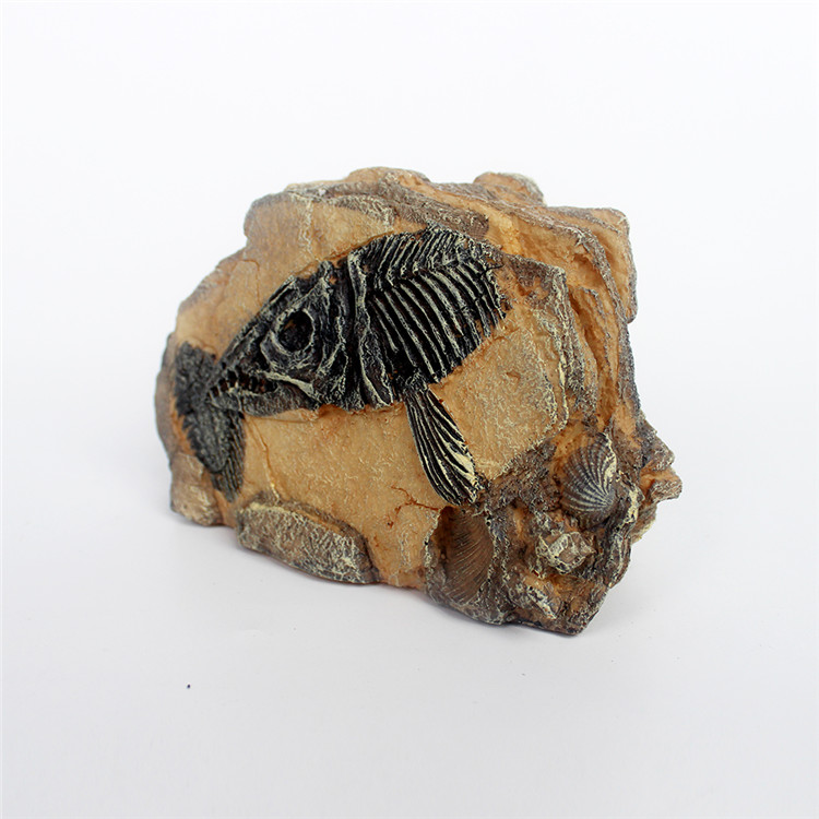 Hot-selling Aquarium Tweezers And Scissors - Resin ichthyolite hide decoration – Nomoy